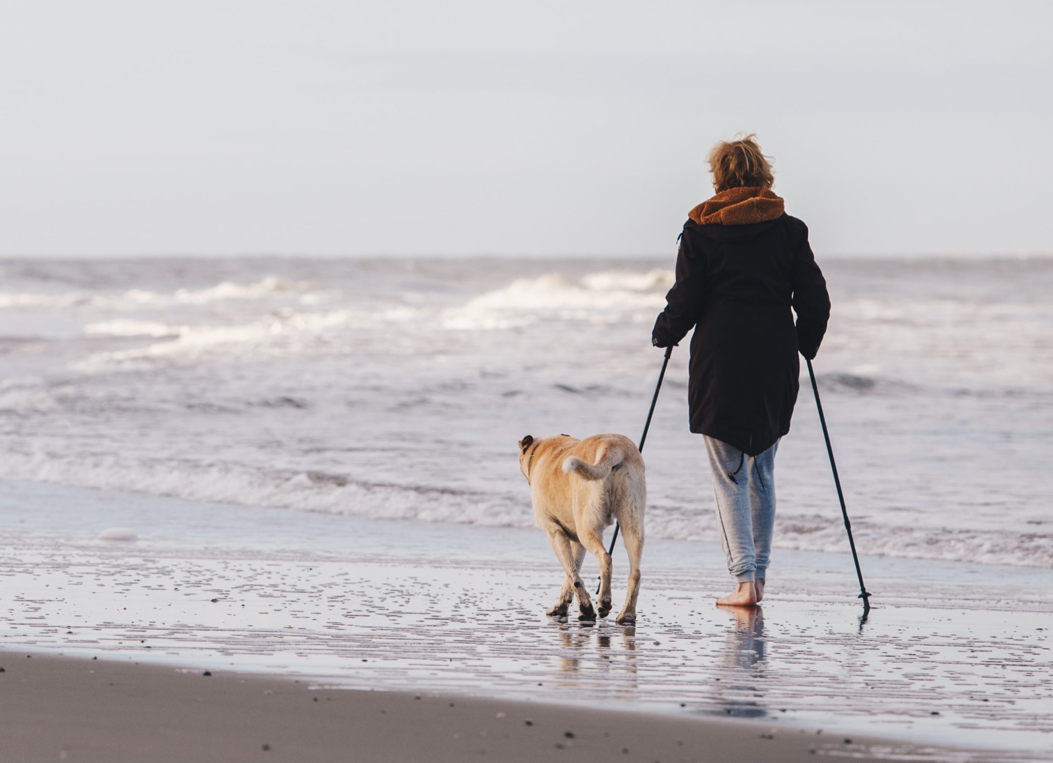 Heart block case study picture